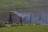Wenkheim 2007